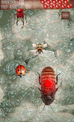 Ant and Bug kill Welt 1