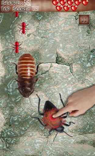 Ant and Bug kill Welt 4
