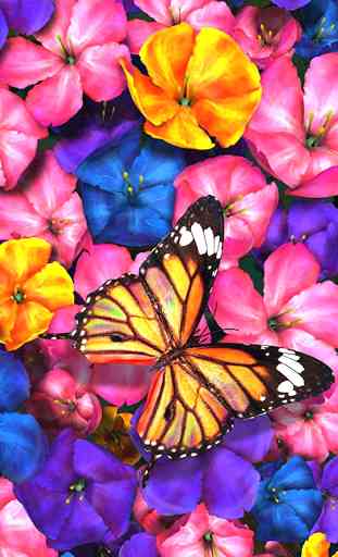 Butterfly Live Wallpaper 1