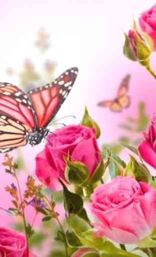 Butterfly Wallpapers for Chat 2