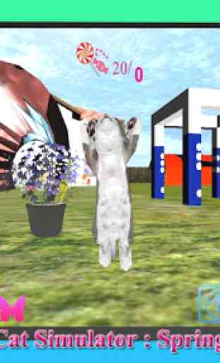 Cat Game simulator 2