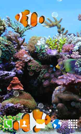 Coral Fish 3D Live Wallpaper 1
