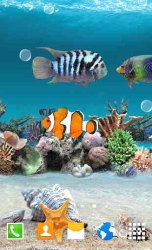 Coral Fish 3D Live Wallpaper 4