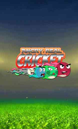 Cricket Game: Angry Style 1