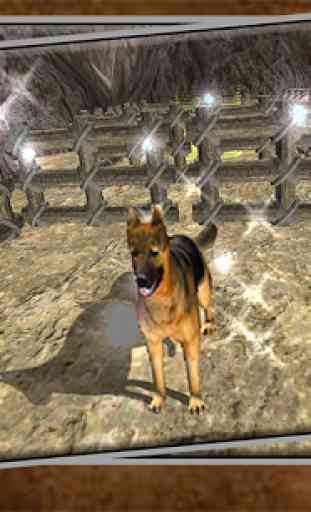 Crime Police Dog Training 4