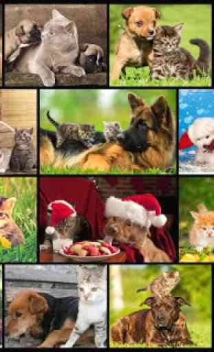 Dogs and Cats Kid Puzzle Games 2