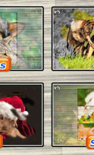 Dogs and Cats Kid Puzzle Games 3