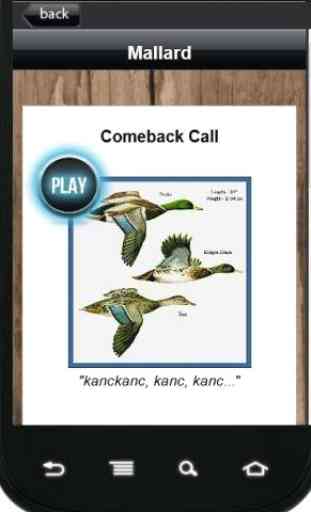Duck Calls & Tactics 2