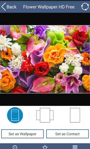 Flower Wallpaper HD Free 3
