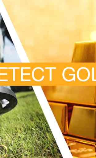 Gold Metal Detector 1