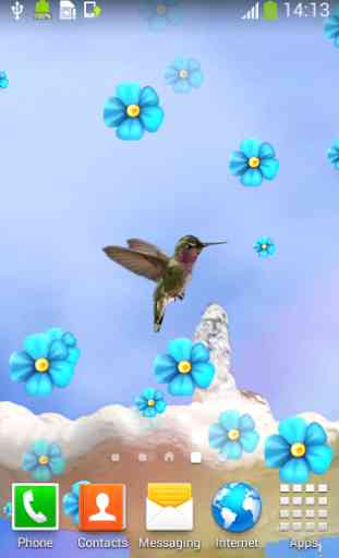Hummingbird Live Wallpapers 2