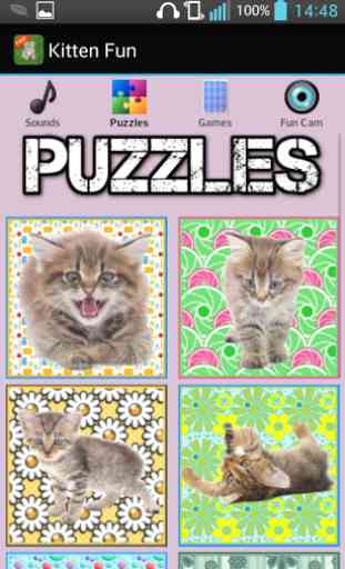 Kitten Games for Girls - Free 2