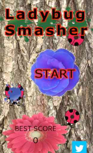 Ladybug Smasher 【Popular Apps】 1