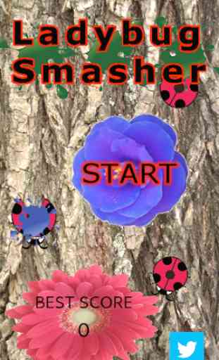 Ladybug Smasher 【Popular Apps】 3