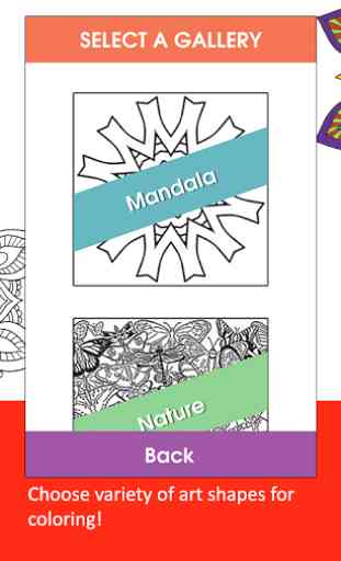 Mandala Flowers coloring book 2