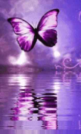 Purple Butterfly Reflected In 1