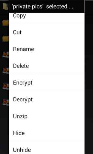 Secure Folder, file encryption 4