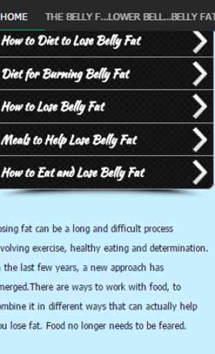 The Belly Fat Diet 2