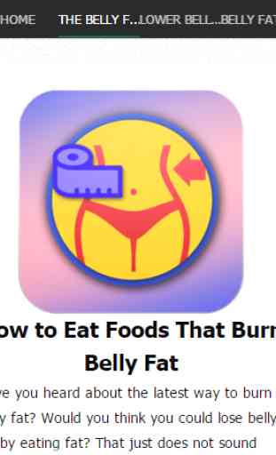 The Belly Fat Diet 3