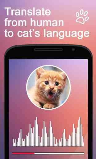 Translator for Cats Prank 2