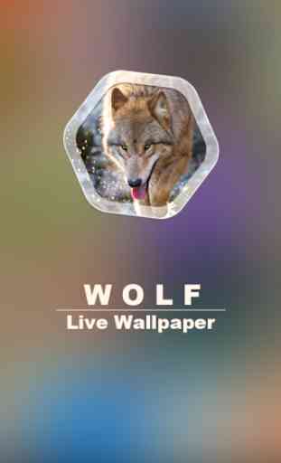Wolf Live Wallpapers 1