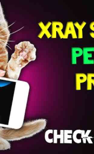 Xray Scanner Pet Cat Prank 3