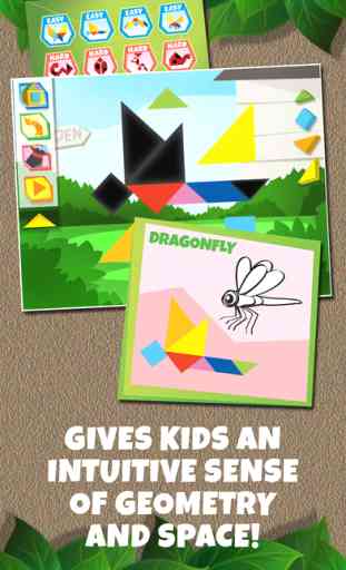Kids Learning Puzzles: Garden Animals, Tangram Building Blocks Make My Brain Pop 2
