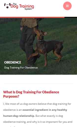 Dog Training 2