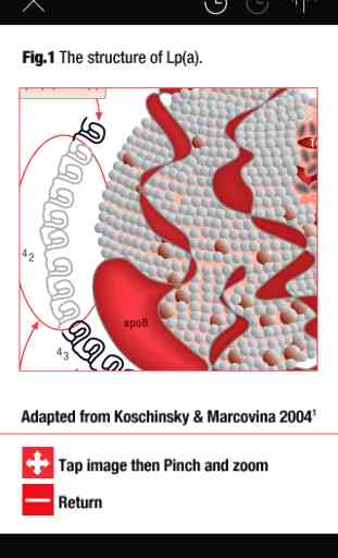 Lipoprotein(a), Atherosclerosis & Cardiovascular Disease Clinician's Handbook 3