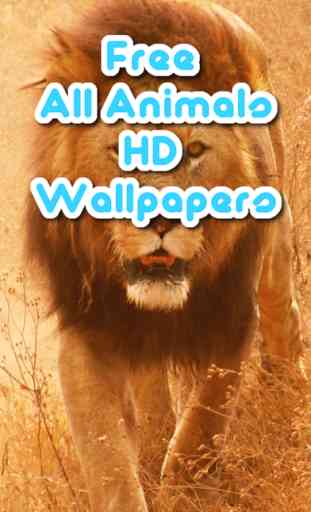All Animals Wallpapers 1