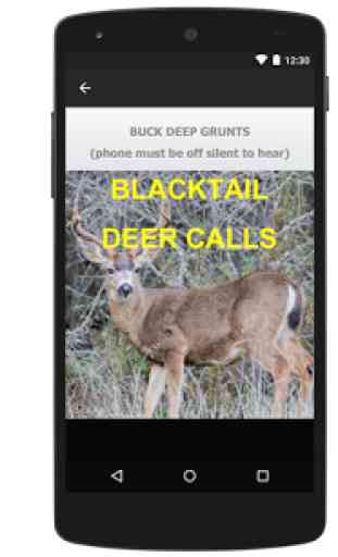 Blacktail Deer Calls Sounds 3