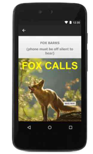 Predator Calls -Fox Hunting UK 3
