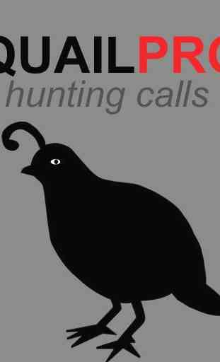 Quail Hunting Calls 1