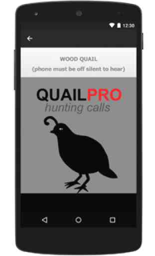Quail Hunting Calls 3