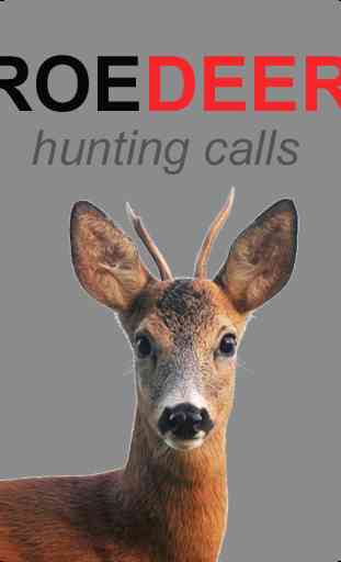 Roe Deer Calls and Deer Sounds 1