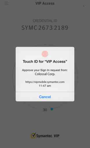VIP Access for iPhone 2