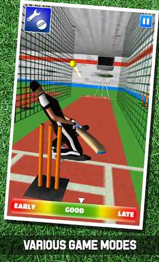 Cricket Simulator 3D 4