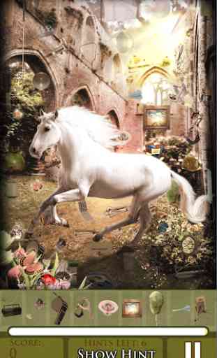 Hidden Object - Majestic Mares 2