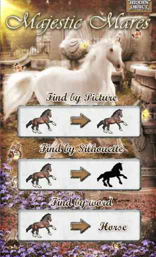 Hidden Object - Majestic Mares 4
