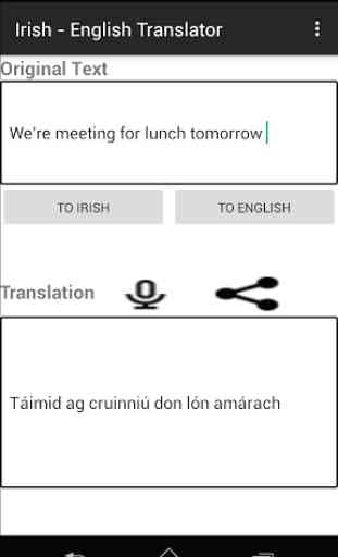 Irish - English Translator 3