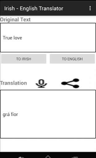 Irish - English Translator 4