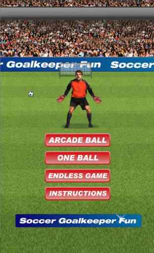Soccer Goalkeeper Fun 1