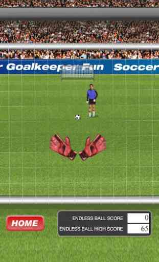 Soccer Goalkeeper Fun 2