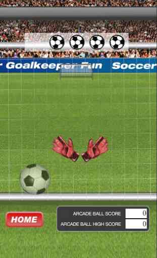 Soccer Goalkeeper Fun 3