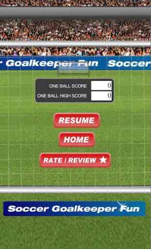 Soccer Goalkeeper Fun 4