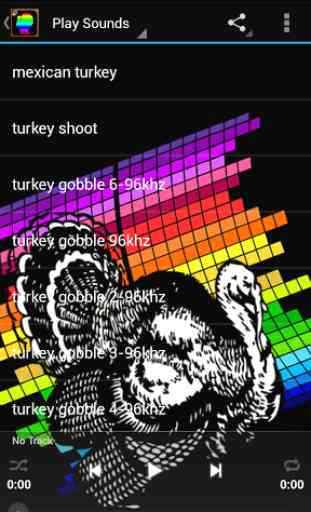 Turkey Hunting Calls 2