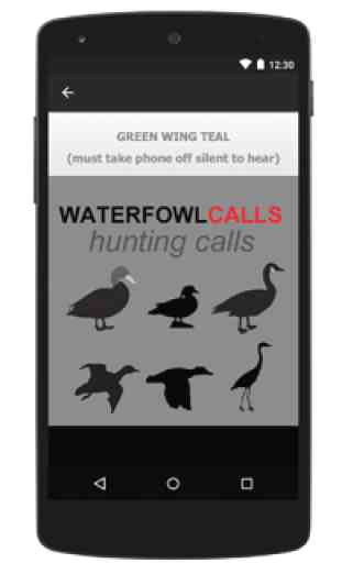 Waterfall Calls for Hunting UK 2