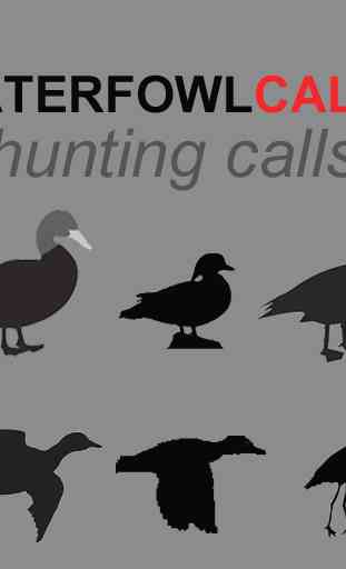 Waterfowl Calls for Hunting AU 4