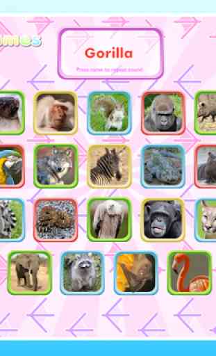 Wild Animal Games & Sounds 3