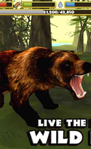 Wildlife Simulator: Bear 1